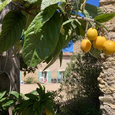 Mas De L'hospitalet Gites Aux Portes De Cevennes Bagard